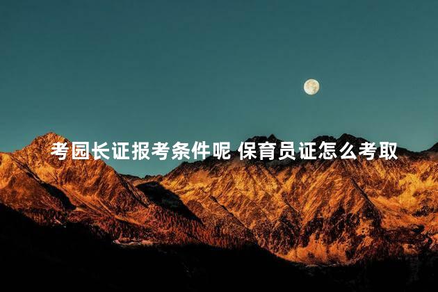 考园长证报考条件呢 保育员证怎么考取